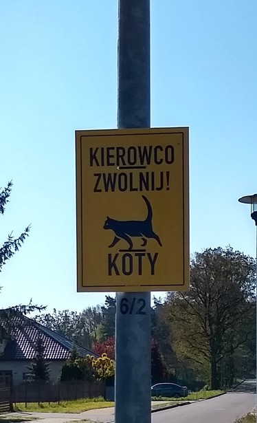 Żółta, prostokątna tabliczka na słupie. Tekst mówi "Kierowco, zwolnij! Koty". Pośrodku piktogram, przedstawiający idącego kota.