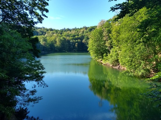 Widok na małe, wąskie jezioro, z wysokości (z wiaduktu). Jezioro otoczone jest gęstym lasem liściastym, który jarzy się jaskrawą zielenią w słońcu. Po prawej stronie wypukłym pośrodku brzegiem wchodzi w jezioro. W oddali widać nawarstwianie się lasu, sugerujące, że jezioro otoczone jest górką. Przy lewej krawędzi pobliskie drzewa ciemną zielenią przysłaniają obraz.

Przy przeciwległym brzegu woda ma barwę szmaragdową. W środkowej części woda jest lekko pofalowana, przeplatając ten kolor z odbit…