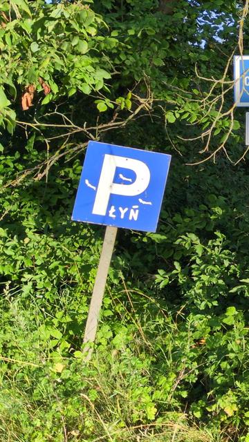 Domorosły znak parkingu w postaci dużej, białej litery "P" na niebieskim kwadracie, na pochylonym, niskim słupku. Na znaku dorysowano trzy szlaczki (ptaki?), i dopisano mniejsze litery, tworząc napis "Płyń". W tle zielone krzewy w słońcu.