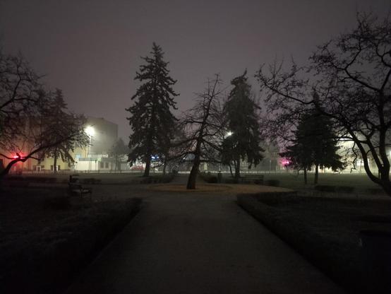 Park przed świtem. Ciemne sylwetki drzew przesłaniają niebo, rozjaśnione światłem lamp ulicznych i neonów za parkiem. Na wprost widać jaśniejszy ślad alejki, która prowadzi prosto na ogołocone drzewo, lekko przechylone w prawą stronę.