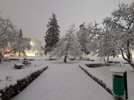 Ten sam park, ten sam kadr, ta sama godzina, tyle że wszystko pokrywa śnieg. Zdjęcie jest przez to znacznie jaśniejsze, wydaje się jakby było zrobione po świcie. Jedyną sugestią nocy są jaskrawe światła w oddali. Pochylone drzewo teraz jest białe od śniegu, podobnie jak inne drzewa w parku. Widoczny stał się żywopłot przy alejce oraz zielony śmietniczek po prawej stronie.