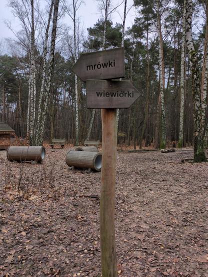 Drewniany drogowskaz pośrodku polany. Tabliczka wskazująca w lewo opisana jest "mrówki", poniżej niej w prawo "wiewiórki". Ziemię pokrywają brązowe liście. Z tyłu leży kilka szerokich "rur", obitych deskami wzdłuż. Z tyłu stoi kilka ławek. Obok nich pękami rosną brzozy o białozielonych pniach, dalej sosny.