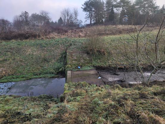 Próg na kanale, otoczonym zielonymi, trawiastymi zboczami. W kanale niewiele wody, betonowy próg jest całkiem odkryty, trochę wilgotny, przy brzegach porośnięty trawą. Na prawo błoto, na lewo, poniżej progu cienka warstwa wody na betonie. Na samej krawędzi zdjęcia pojawia się woda właściwa. Powyżej kanału trawa i drzewa.