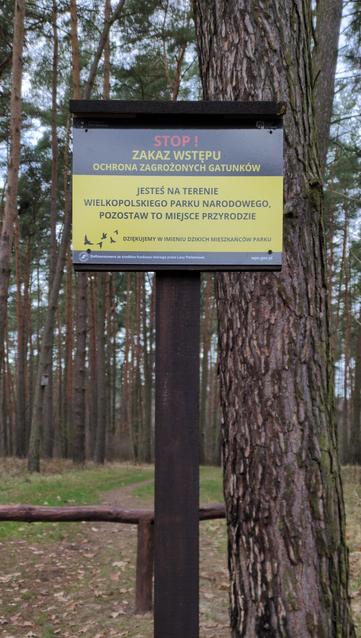 Tabliczka na tle lasu. U góry czarny pas z czerwonym napisem "STOP!" I żółtym "Zakaz wstępu. Ochrona zagrożonych gatunków". Poniżej, czarno na żółtym tle "Jesteś na terenie Wielkopolskiego Parku Narodowego. Pozostaw to miejsce przyrodzie". Niżej piktogram przedstawiający lecące ptaki i drobniejszym drukiem "Dziękujemy w imieniu dzikich mieszkańców Parku". Na dole, biało na czarnym, drobnymi literami "dofinansowano ze środków funduszu leśnego Przez Lasy Państwowe. wpn.gov.pl".