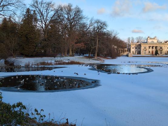 Zamarznięty staw, pokryty cienką warstwą śniegu. W trzech miejscach lód jest roztopiony, odsłaniając szerokie kręgi wody, każdy pełen wielobarwnego ptactwa wodnego. Brzeg po lewej stronie porośnięty drzewami, tworzącymi zbitą warswę brązu i pomarańczu. Z prawej strony w oddali widać klasycystyczny pałac — jasną budowlę z fikuśnymi filarami, oknami i wuchtą posągów. Niebo jest błękitne, z kilkoma puszystymi chmurami, nadaje wodzie błękitny połysk. Śnieg też ma niebieskawy odcień.